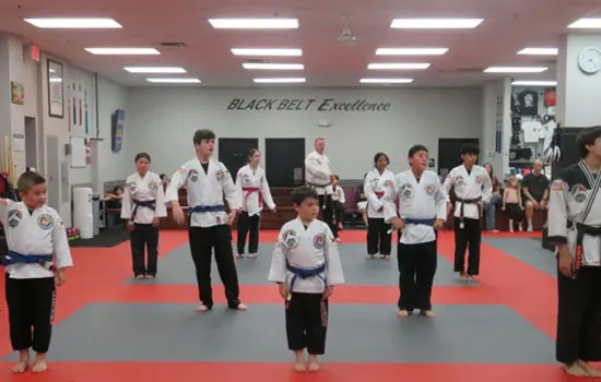 Spectrum SKILLZ Martial Arts Classes | Kyuki-do Martial Arts